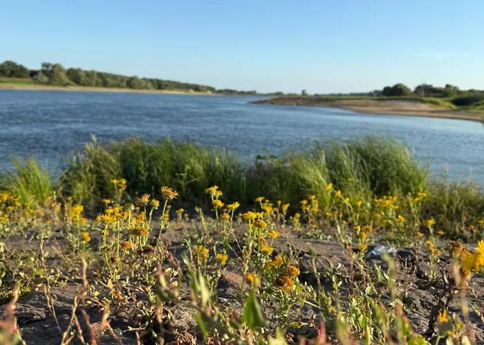 Appartement Stadtblick